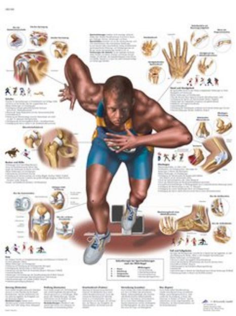 Afbeeldingen van Sportletsels