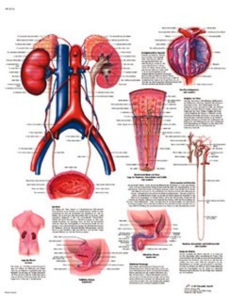 Afbeeldingen van Unrinesysteem